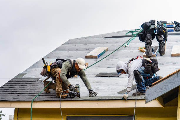 Professional Roof Replacement technician working in Casco, MI